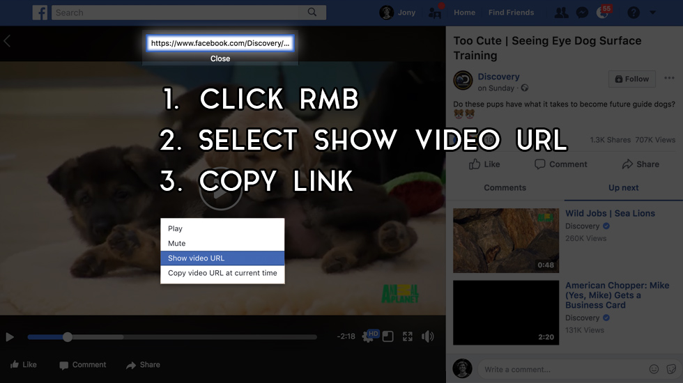 How to use fbvideosaver.net image